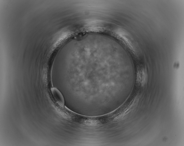 X0000095510444200712141427