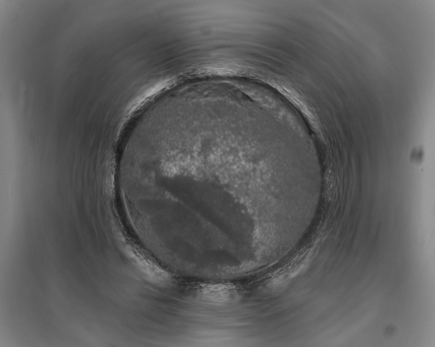 X0000095510446200712141427