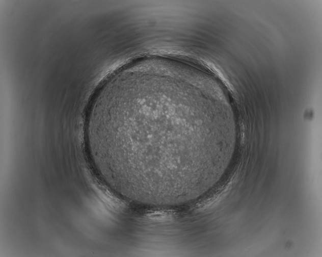 X0000095510447200712141427