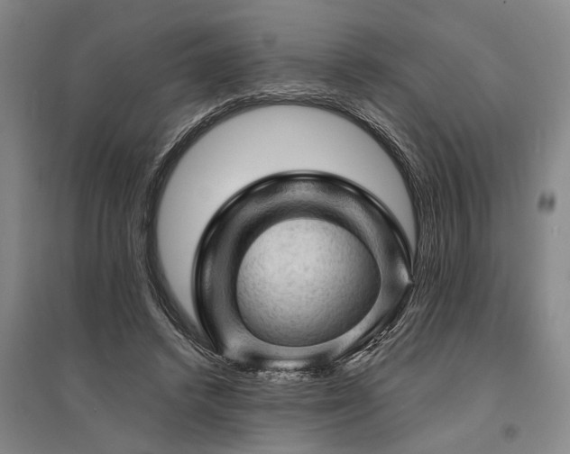 X0000095510448200712141427