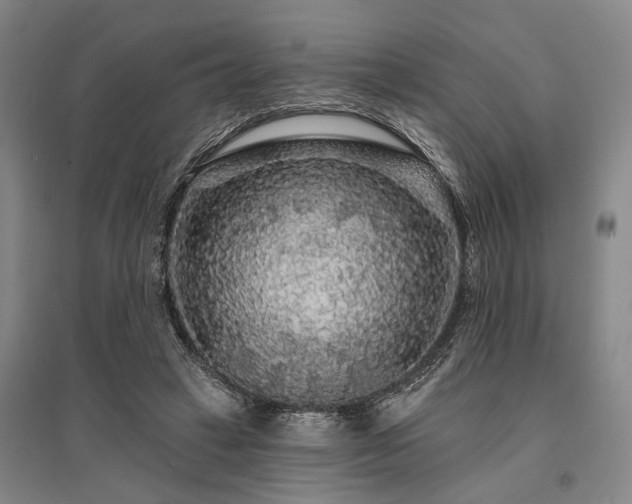 X0000095510449200712141427
