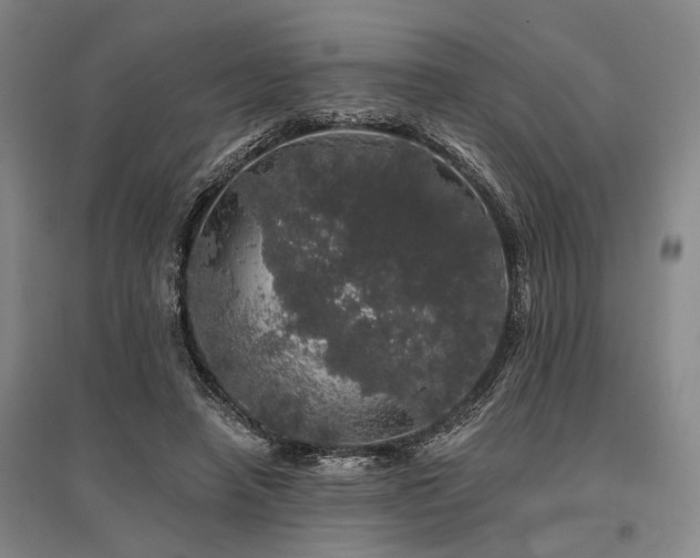 X0000095510450200712141427