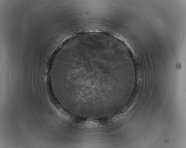 X0000095510451200712141427
