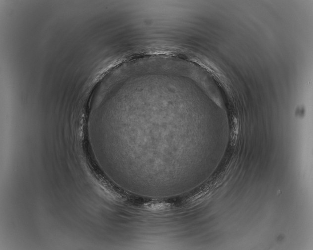 X0000095510452200712141427