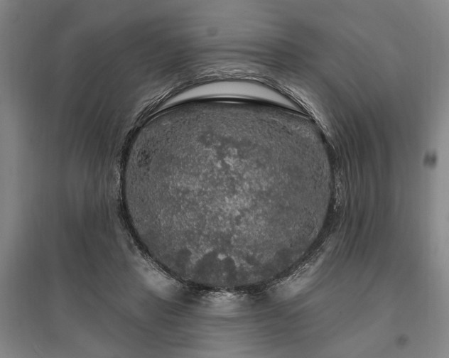 X0000095510453200712141427