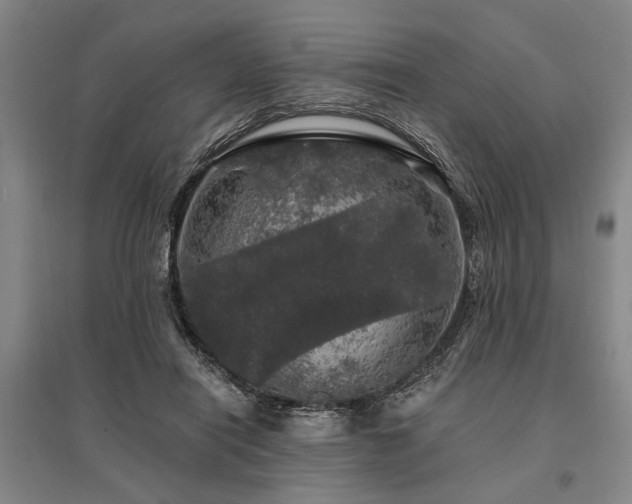 X0000095510454200712141427