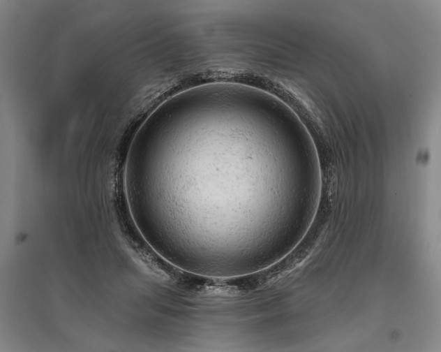 X0000095510455200712141427