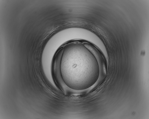 X0000095510456200712141427