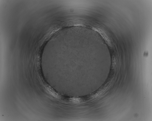 X0000095510457200712141427