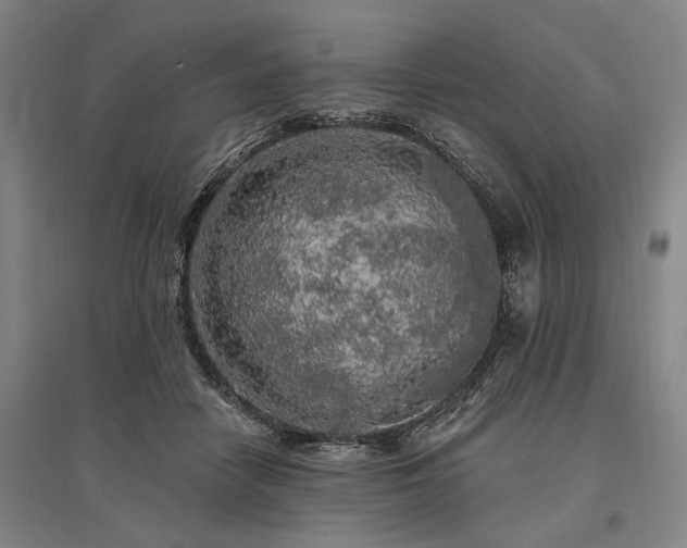 X0000095510458200712141427
