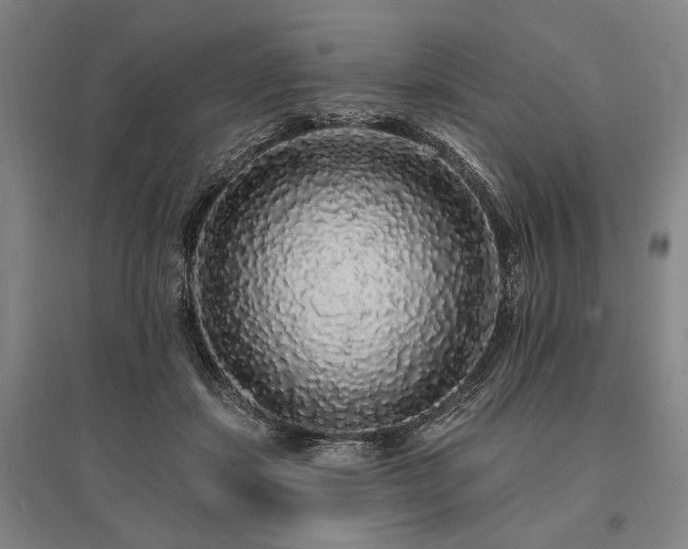 X0000095510459200712141427
