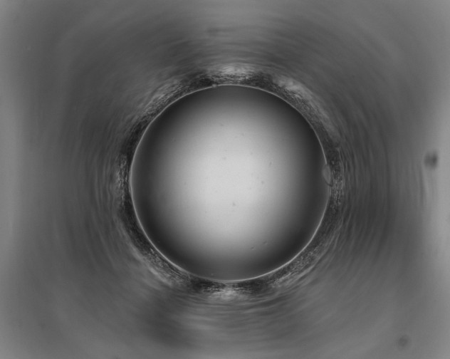 X0000095510460200712141427