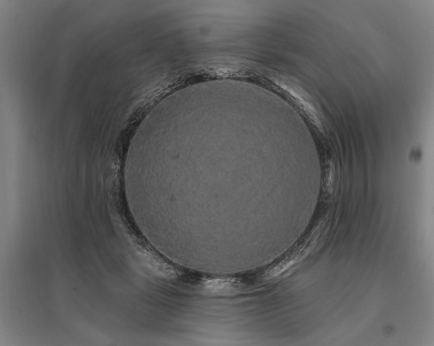 X0000095510461200712141427