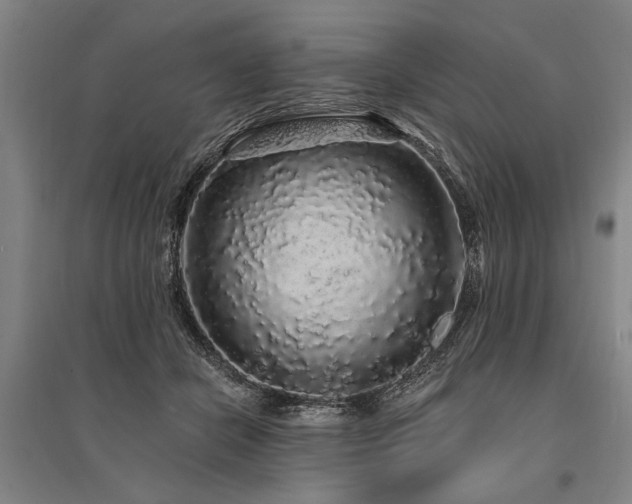 X0000095510462200712141427
