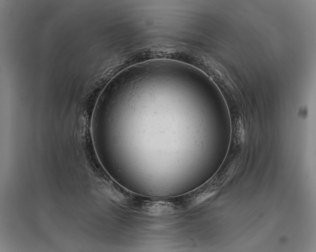 X0000095510463200712141427