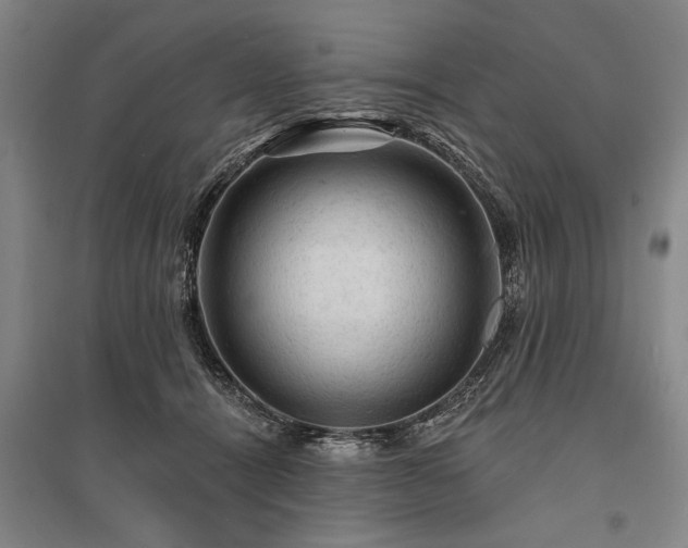 X0000095510464200712141427