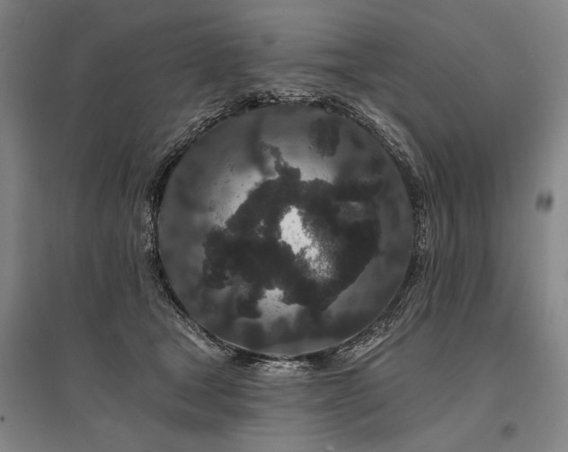 X0000095510465200712141427