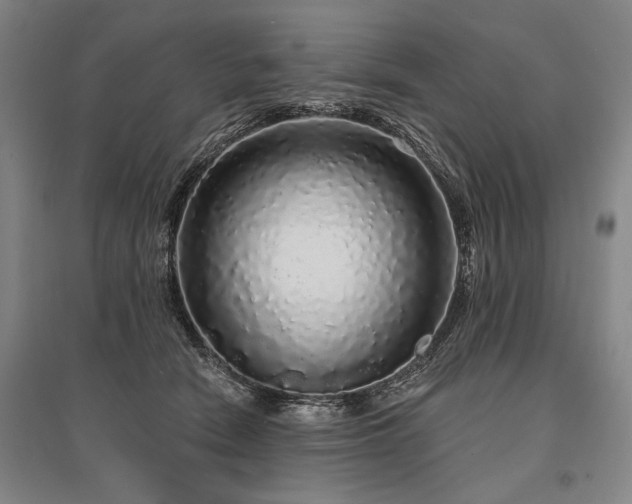 X0000095510466200712141427