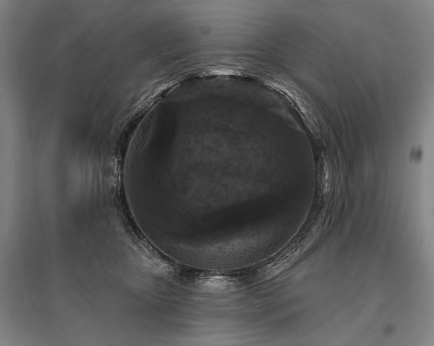 X0000095510467200712141427