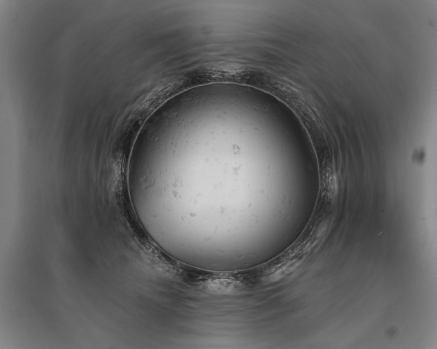 X0000095510468200712141427