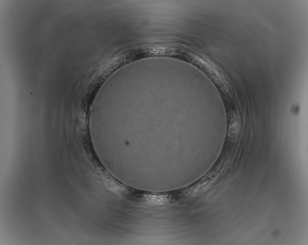 X0000095510469200712141427