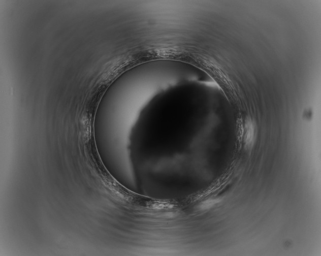 X0000095510471200712141427