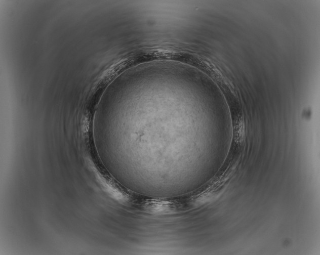 X0000095510472200712141427