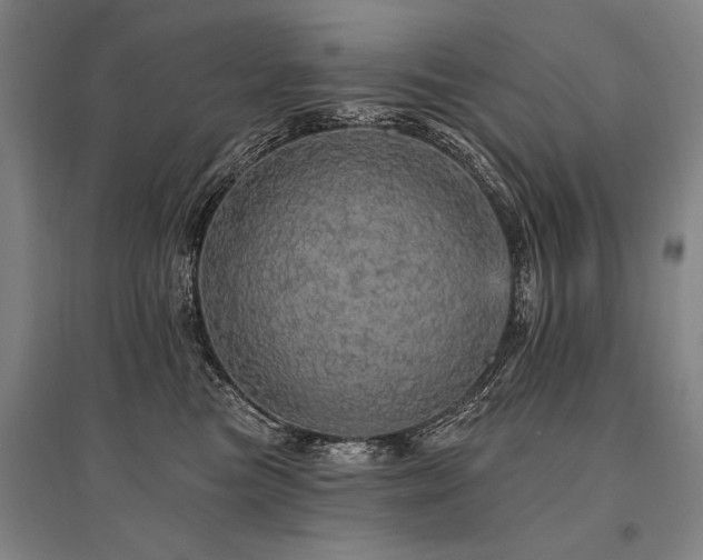 X0000095510473200712141427