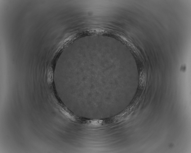 X0000095510474200712141427