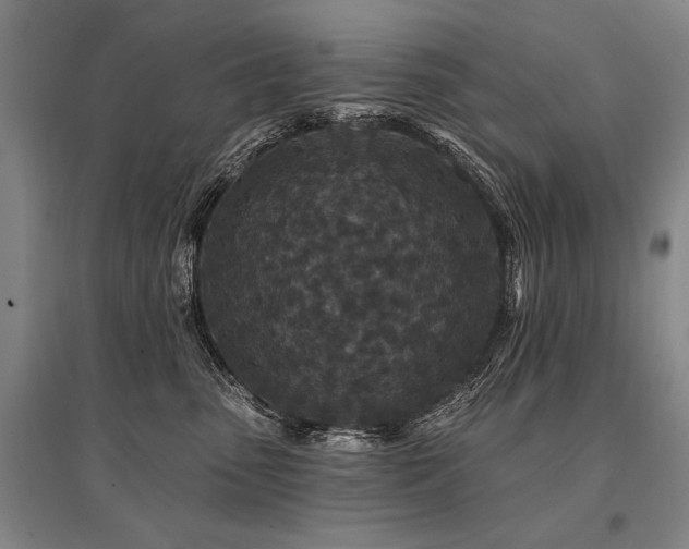 X0000095510475200712141428