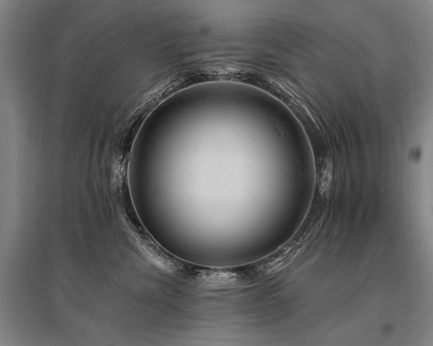 X0000095510476200712141428