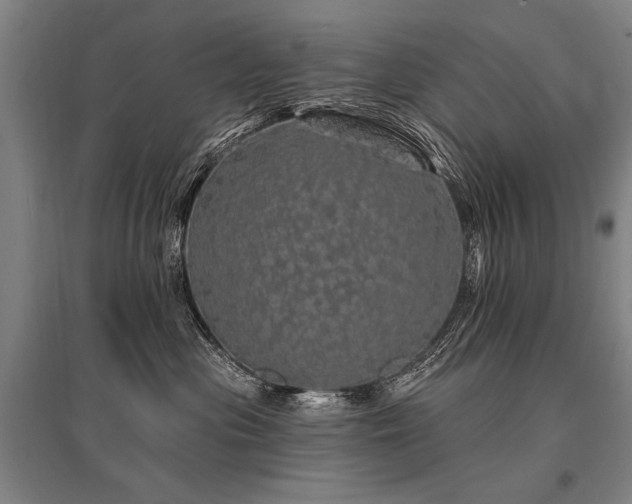 X0000095510477200712141428