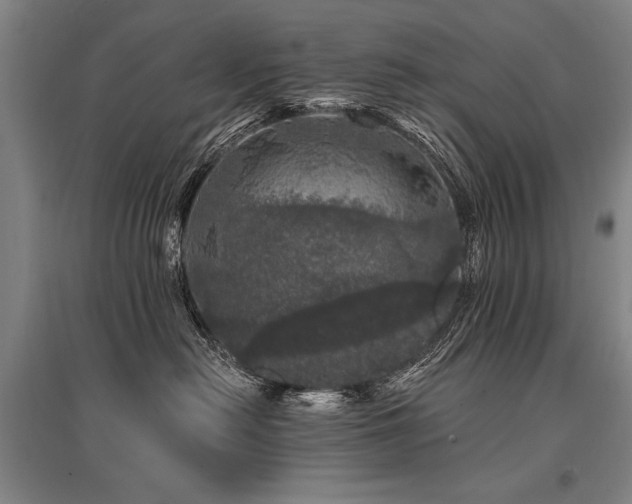X0000095510478200712141428