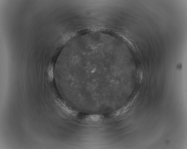 X0000095510479200712141428
