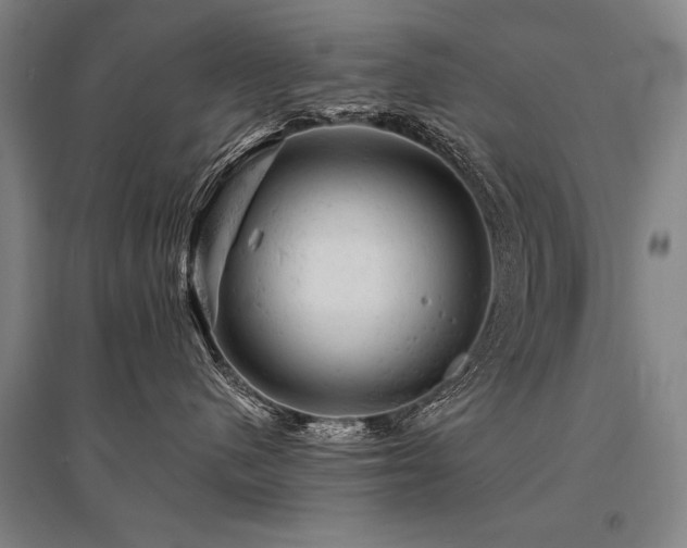 X0000095510480200712141428
