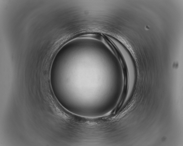 X0000095510481200712141427