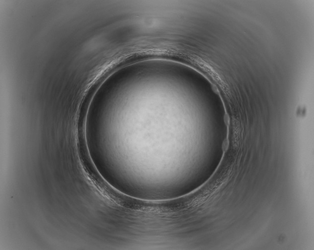 X0000095510482200712141427