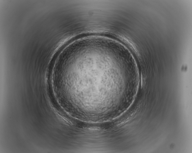 X0000095510483200712141427