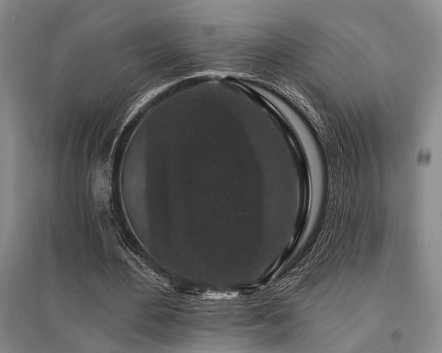 X0000095510484200712141427