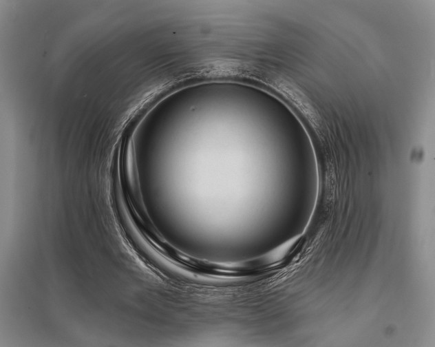 X0000095510485200712141427