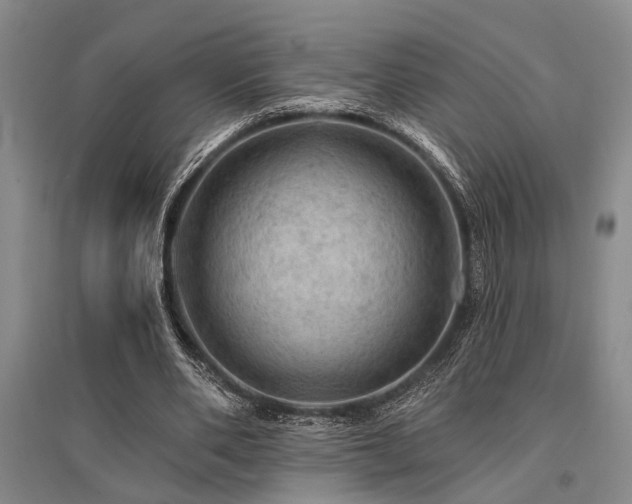 X0000095510486200712141427