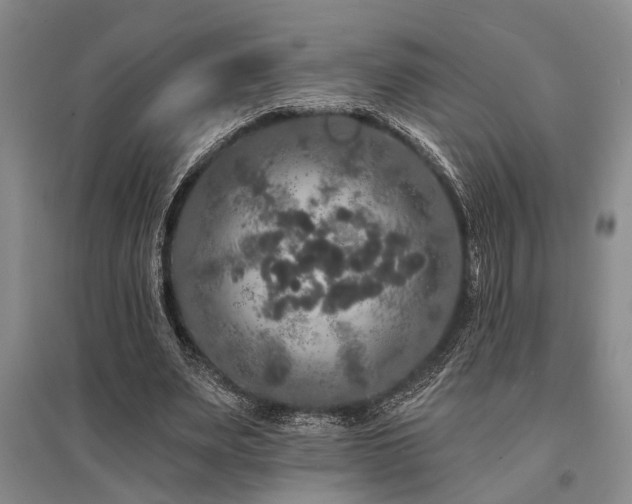 X0000095510487200712141427