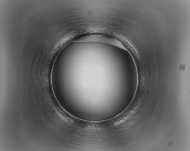 X0000095510489200712141427