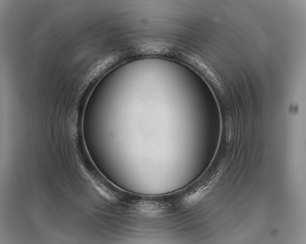 X0000095510490200712141427