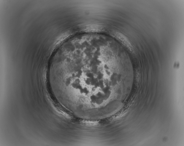 X0000095510491200712141427