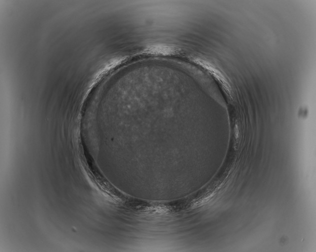 X0000095510492200712141427