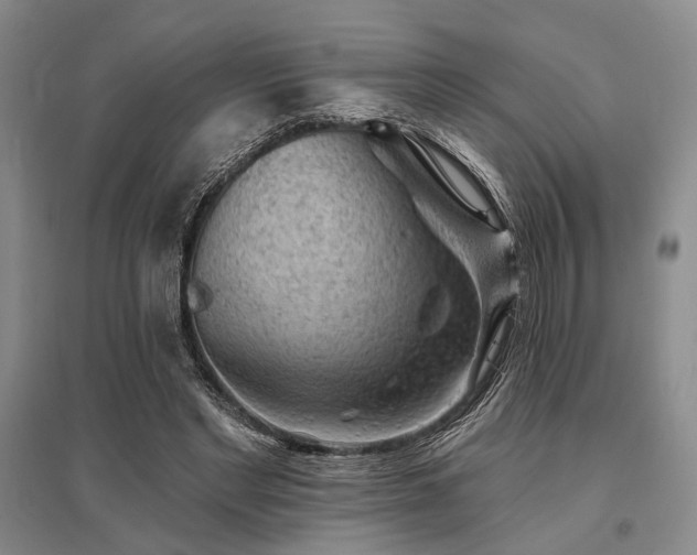 X0000095510493200712141427
