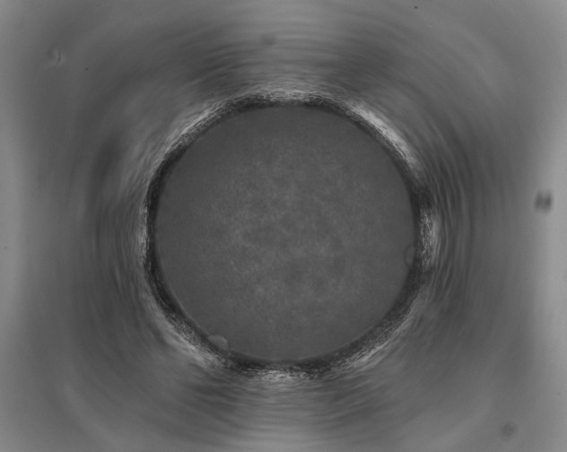 X0000095510494200712141427