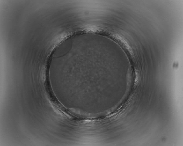 X0000095510496200712141427