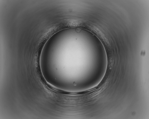 X0000095510497200712141427
